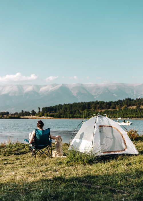 campen_mit_hund-scaled.jpg